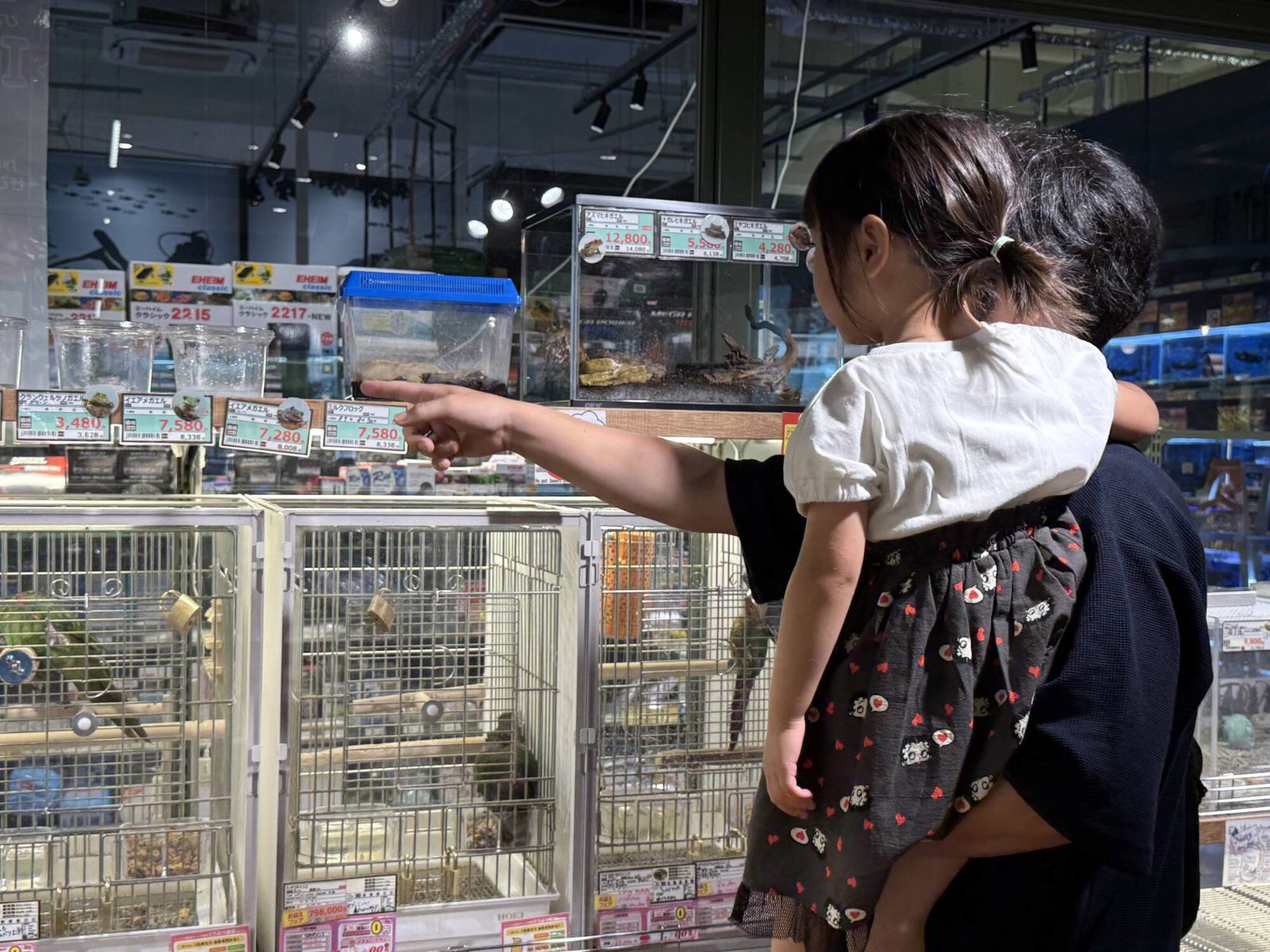 ▲さまざまな動物を間近に見られる貴重な体験に子どもも興味津々